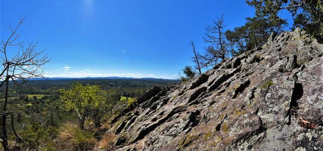 Bald Knob